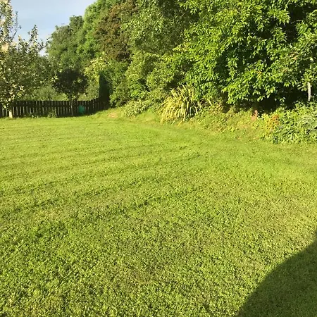 Deeleview * Lifford